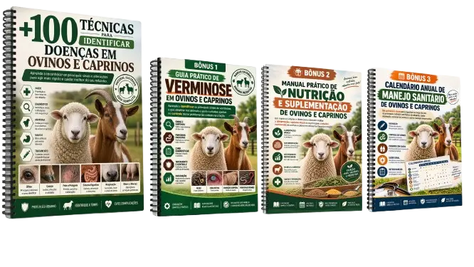 Mockup do material principal com os 3 bônus inclusos no Plano Completo