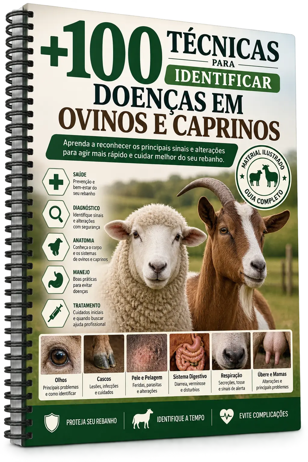 Mockup do material principal — +100 Técnicas para Identificar Doenças em Ovinos e Caprinos