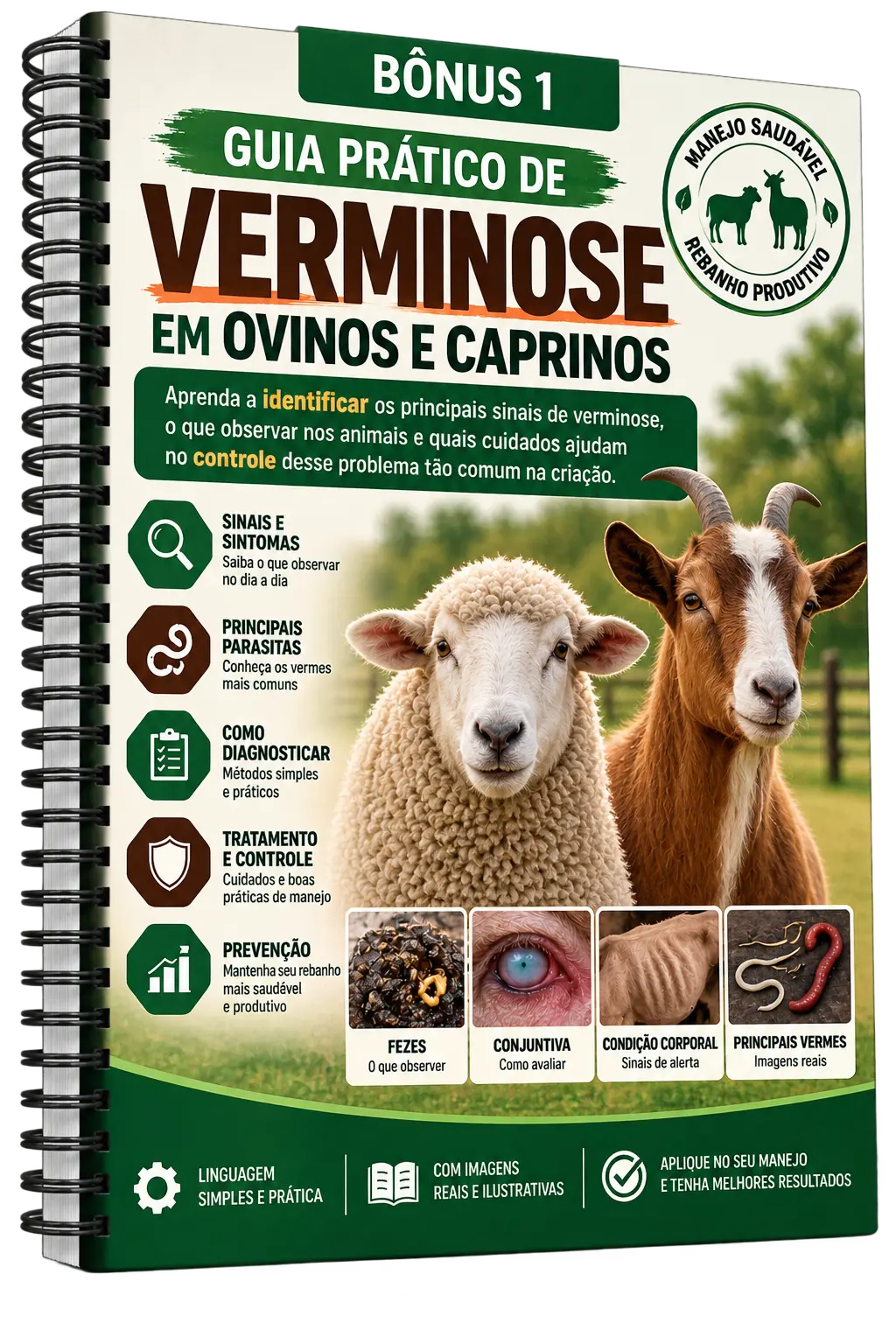 Mockup do Guia Prático de Verminose em Ovinos e Caprinos